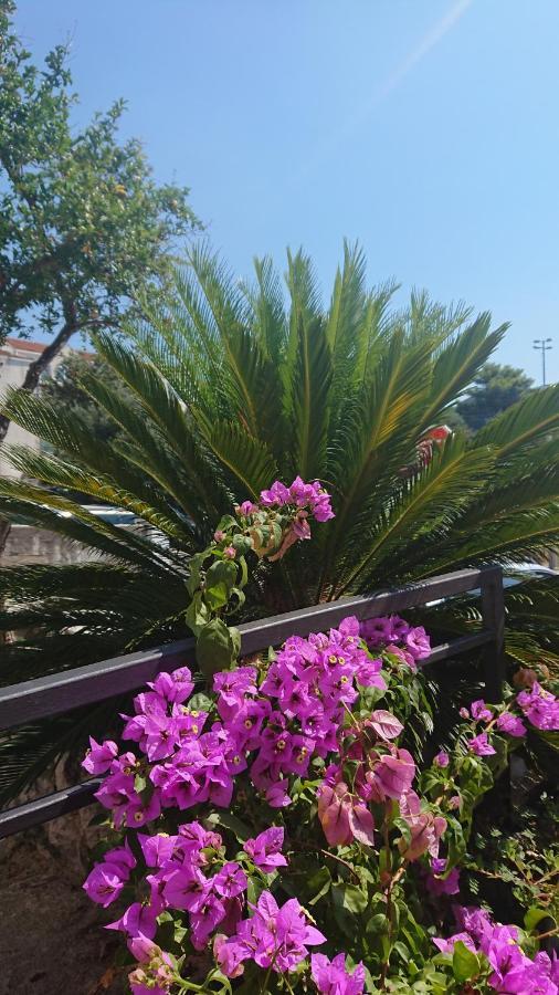 Apartments Rose Baska Voda Ngoại thất bức ảnh